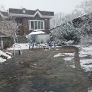 경북기름 이미지