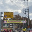 중앙로+진각로 네이버블로그