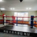 곡성 복싱 체육관 이미지