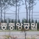 세종중앙공원 풋살장 네이버블로그