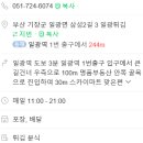 일광현미쌀보리밥 네이버블로그