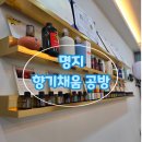 송정초등학교 | 명지 아로마 공방