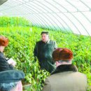 남북농장 이미지