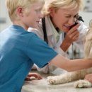 처음동물병원 이미지