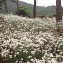 둘레길 민박 이미지