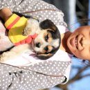 헤브론농장 이미지