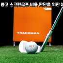 마니아스크린골프 이미지