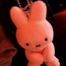 아트박스 앞 | 토요일 은행동 아트박스 미피 키링 구매후기 &amp; 하루 일기