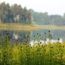 호숫가의 풍경 이미지