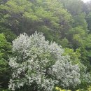 돌배마을협동조합 이미지