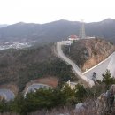 흑산도사리수산 Daum카페