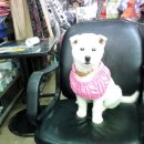 다모아민박 이미지