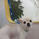 꾸미멍 이미지