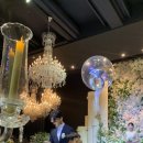 더시그너스웨딩