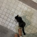 유니약국 이미지