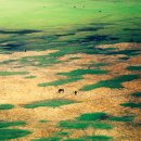 샹그릴라 이미지