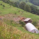 영월고등학교 이미지