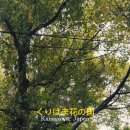 하나노쿠니 - 관악구 관천로19길 76 | 하나노쿠니