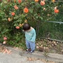 통영오토캠핑장 이미지