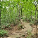 금수산산마루 | [300대명산_가은산] 금수산에 가려진 가은산의 진면목을 보다.