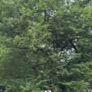 남우정비 이미지