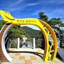 장성호수변길+옐로우출렁다리+황금빛출렁다리+황룡강 가을꽃축제 이미지