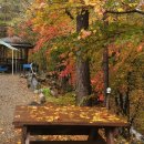 꿈꾸는 계곡 펜션 | 꿈꾸는계곡펜션에서 다가오는 가을을 기다리며 드라마 정주행어때요?은중과상연