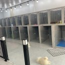 올 마이 펫 이미지