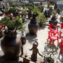 선유산방 이미지