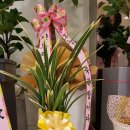 대풍치과의원 이미지