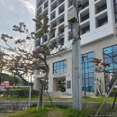 서프리조트 인더시티양양 이미지