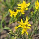 AUTO R S MOTORS 이미지