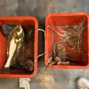 J&D 실내바다낚시터 이미지