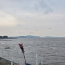 하얀펜션 이미지