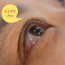 예뻐지다 - 고양시 일산동구 | 경북도청속눈썹펌 <예뻐지다> 속눈썹펌 찐 후기