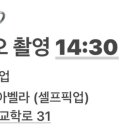 프리지아벨라플라워