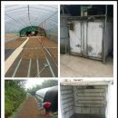 진양농원 이미지