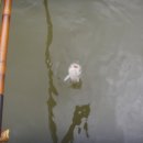 부연낚시터 이미지