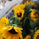 성거초등학교 병설유치원 이미지