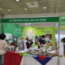 인터내셔널 티 컴퍼니 이미지