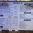 돼바라기 네이버블로그