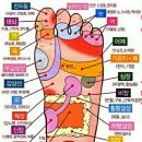 발건강 이미지