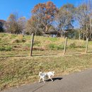 (주)기원농장 이미지