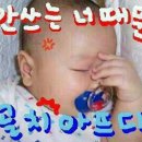 (주)새론 Daum카페