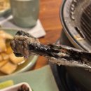 남춘천역 맛집, 춘천 보양식 오골계 숯불구이 닭구이 추천 오골계선생