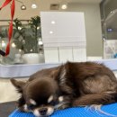 Mong's(몽'스) 이미지