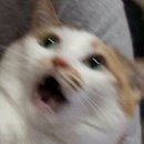 엠이시