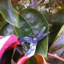 세한농원 이미지