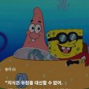 뚱이