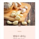 영천떡볶이야 이미지